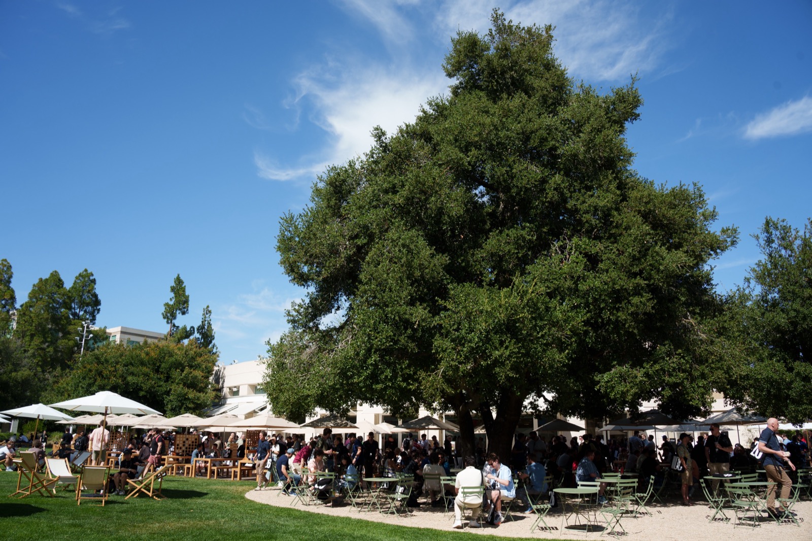 A big tree gave us shade, which was nice. The California sun was really strong.