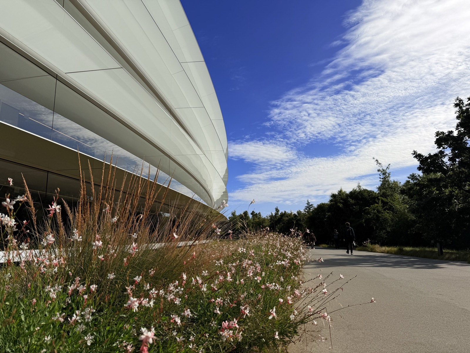 Apple Park under a blue sky